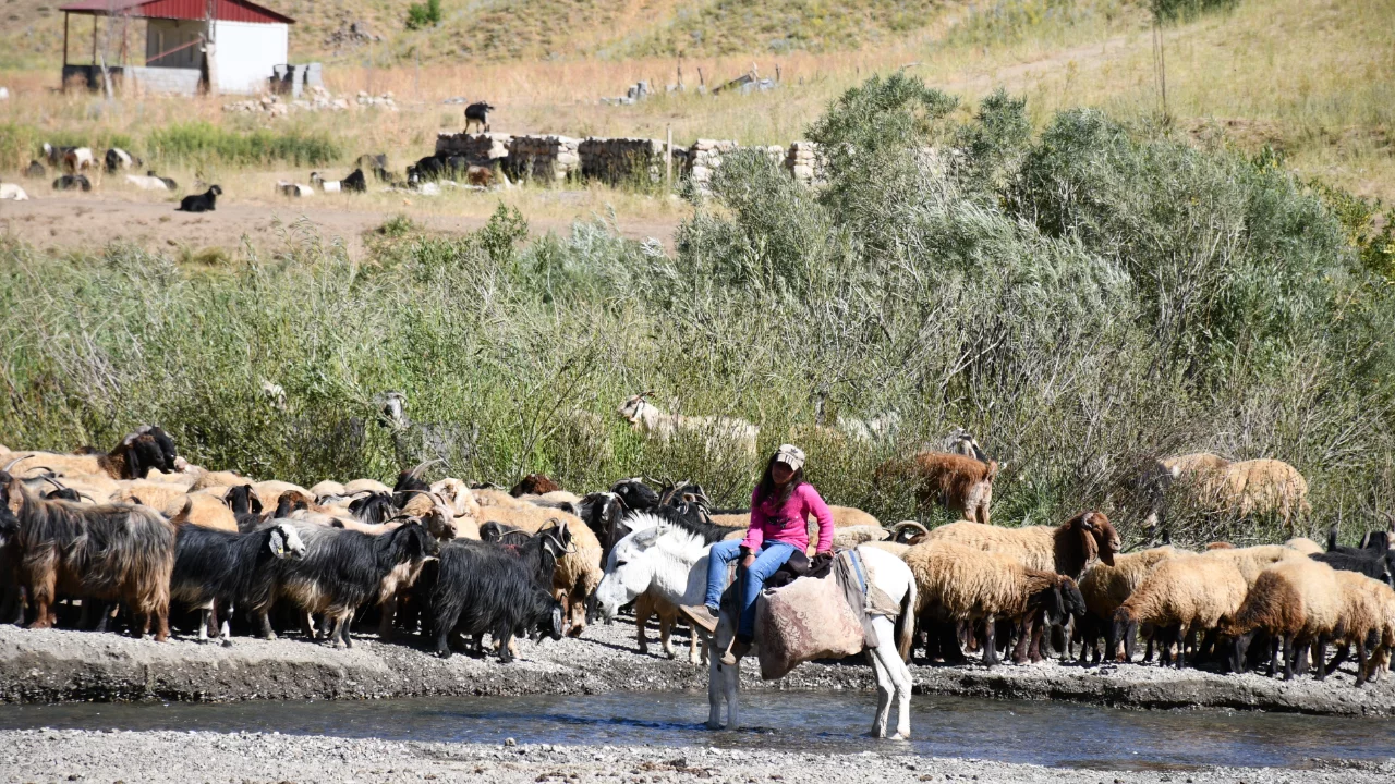 Şırnak yaylaları g&ouml;&ccedil;erlerle doldu