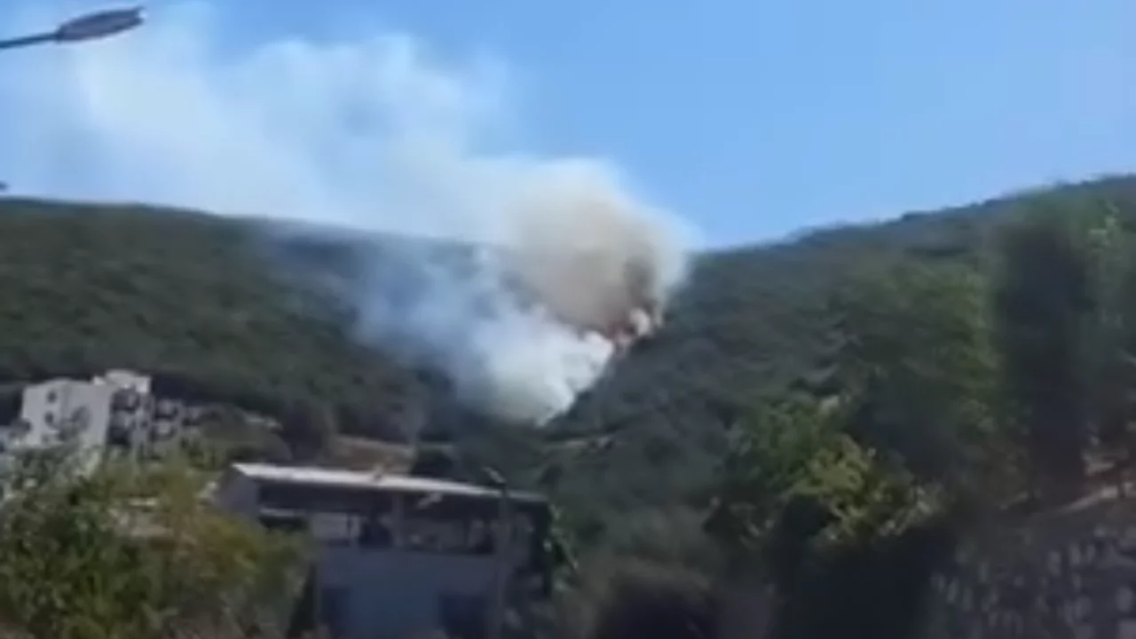 Bursa'da yangın başladı! Ekipler olay yerinde...