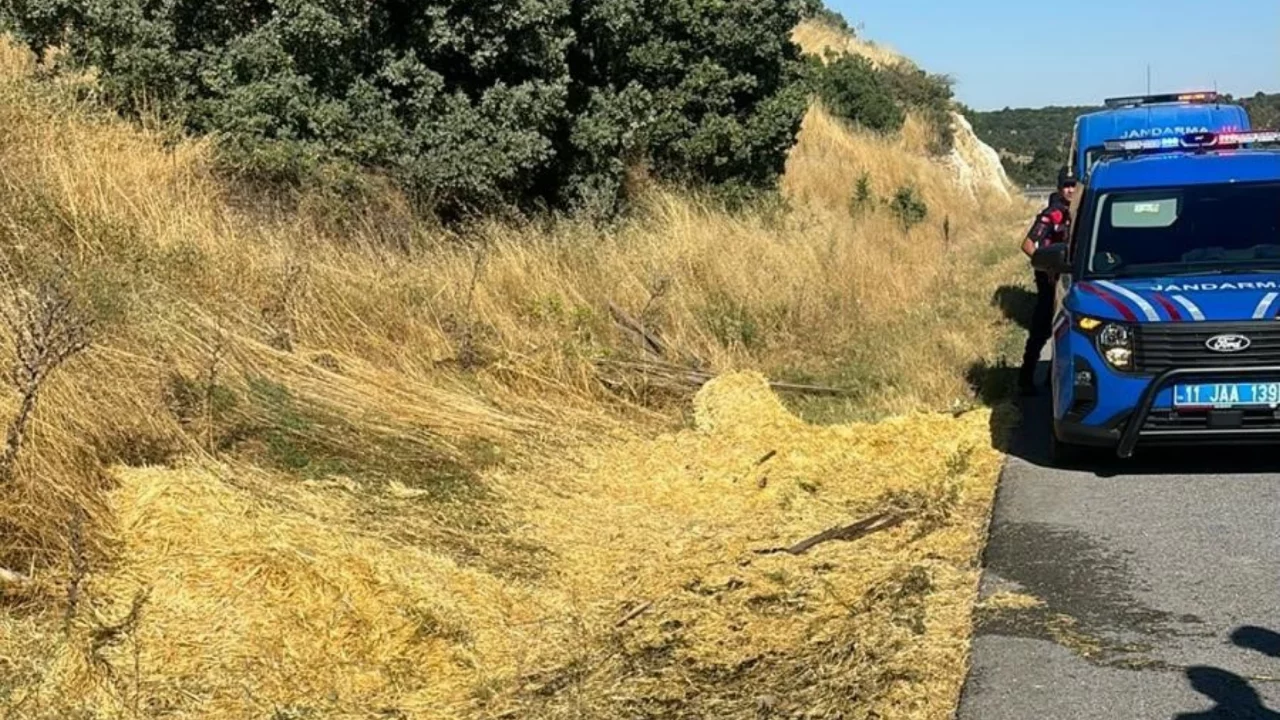 Yol kenarına atılan sigara izmariti yangına neden oldu