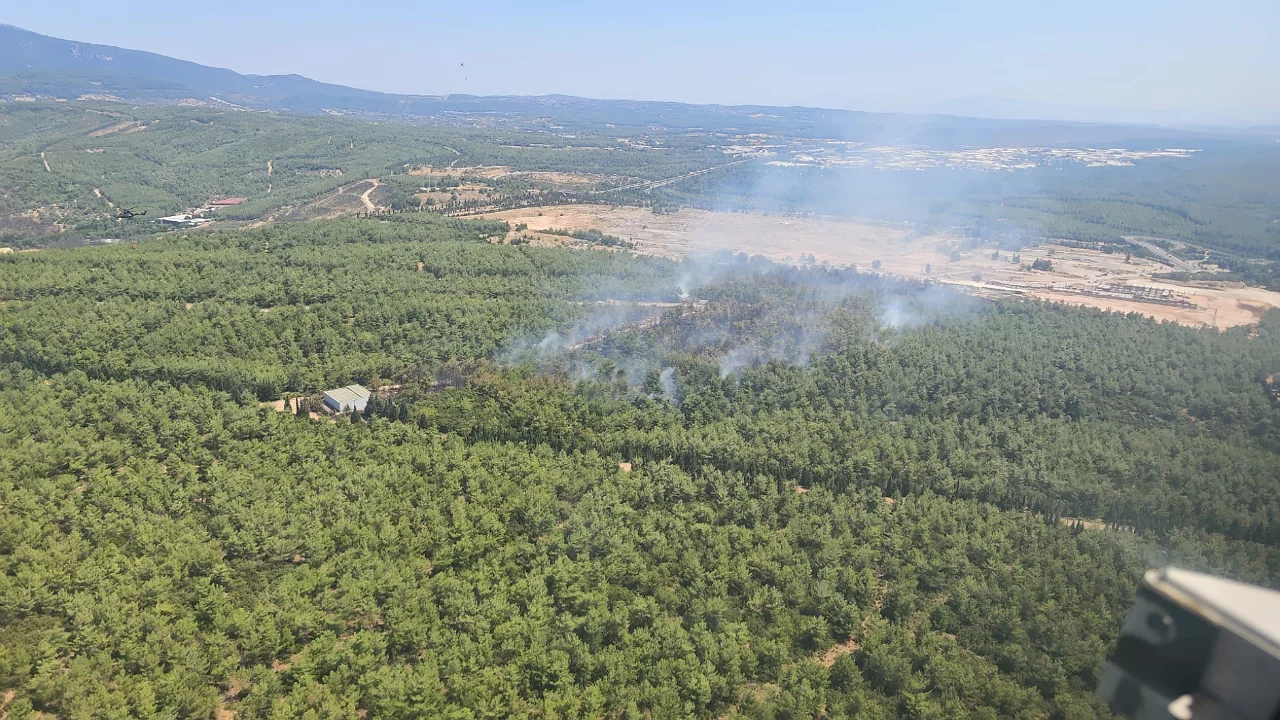 İzmir'de korkutan orman yangını kontrol altına alındı!