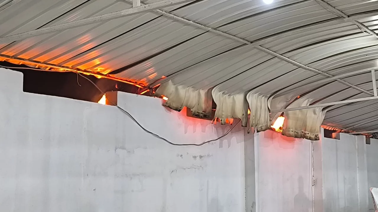 D&uuml;ğ&uuml;nde &ccedil;ıkan yangına aldırış etmeden halaya devam ettiler