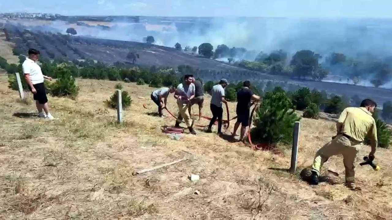 Tekirdağ'da yangın; 100 dekar alan zarar g&ouml;rd&uuml;