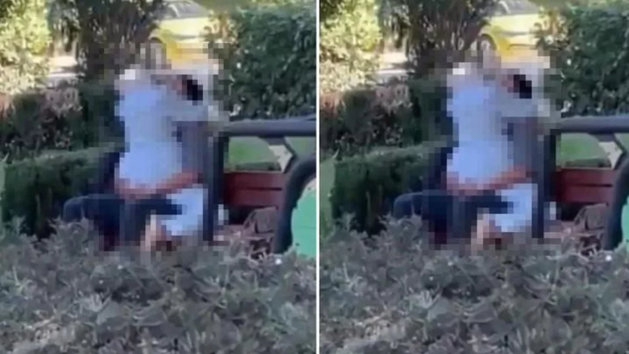 Bakırköy'de uygunsuz hareketler yapan çift kim, Türk mü, yabancı mı, isimleri açıklandı mı?