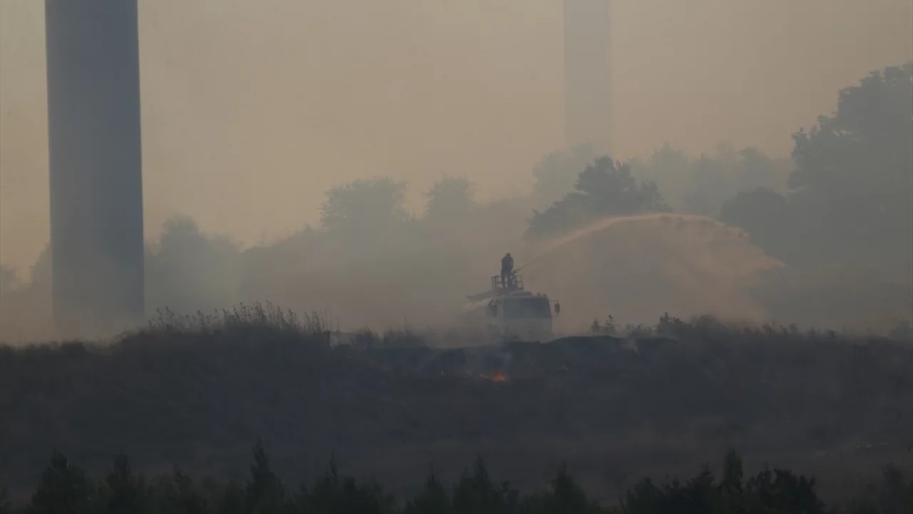 &Ccedil;anakkale'de ormanlık alandan alevler y&uuml;kseldi!