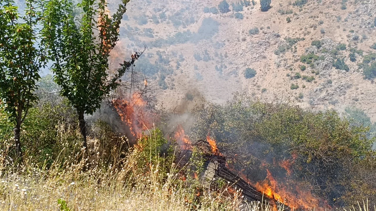 Meyve bah&ccedil;eleri ve &uuml;z&uuml;m bağları alevlere teslim oldu