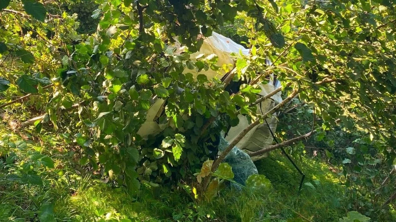Kamyonet fındık bah&ccedil;esine devrildi, 1 kişi hayatını kaybetti