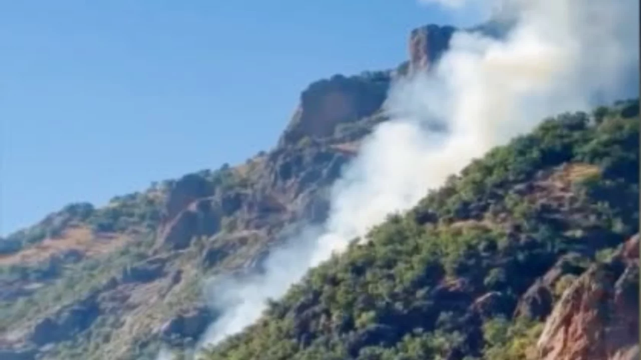 Tunceli'de Munzur Vadisi alarmda! Orman yangınına m&uuml;dahale s&uuml;r&uuml;yor