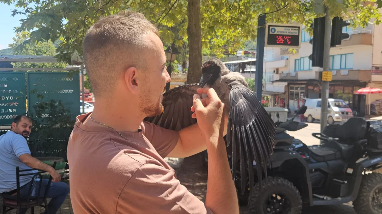 Bursa'da duygulandıran dostluk! Defalarca doğaya bıraktı ama hep geri geldi