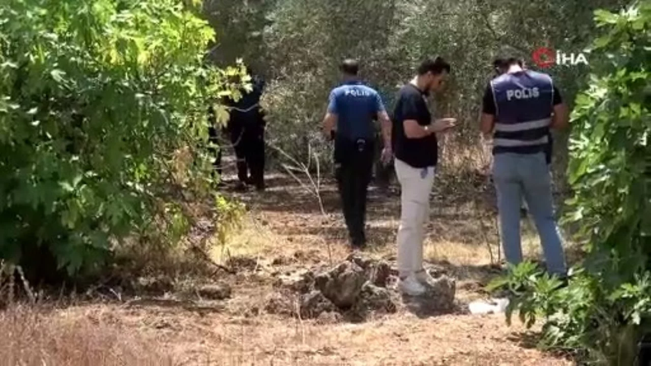 Telefonla konuşurken fark etti! Ağa&ccedil;lık alandaki korkun&ccedil; manzara ekipleri harekete ge&ccedil;irdi