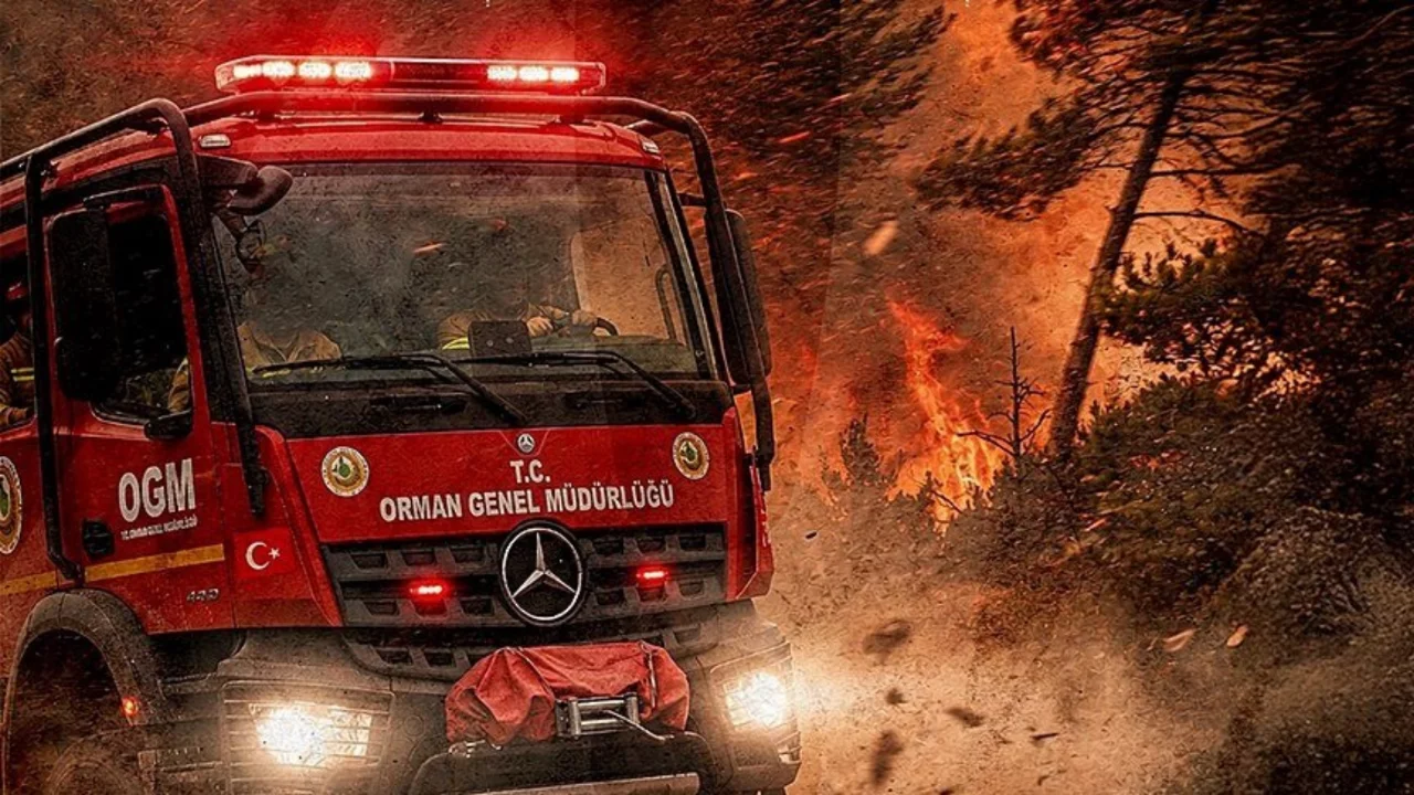 Mudanya'dan orman yangını alarmı: Başkan Dalgı&ccedil;'tan hayati uyarı