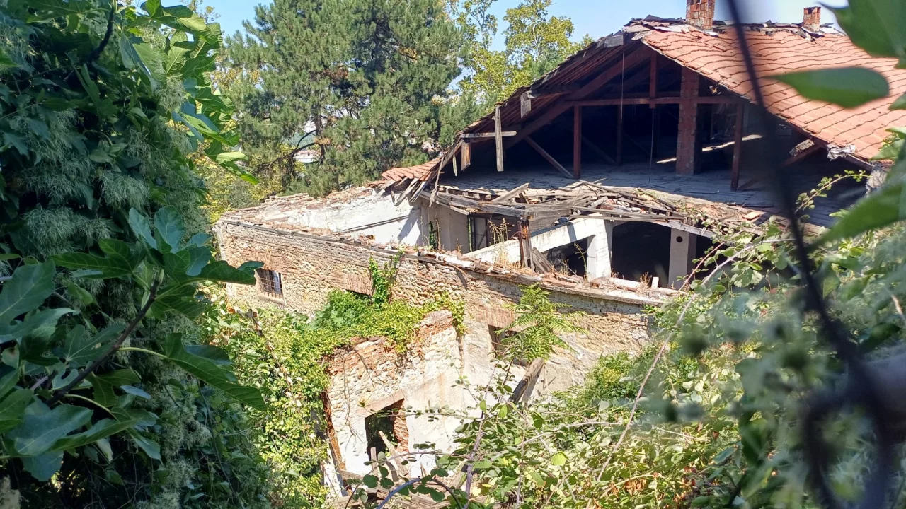 Bursa'da tarihi binayı sarmaşıklar yuttu! Mahalle sakinlerinin bir endişesi var...