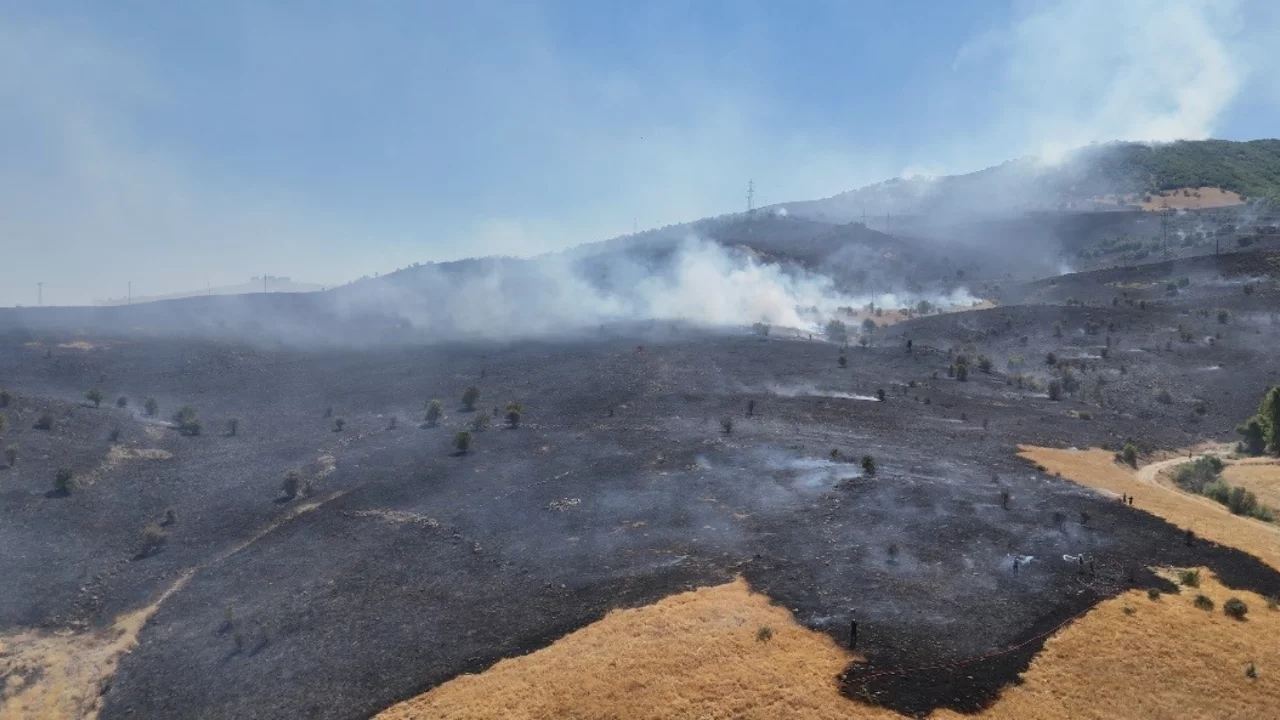 Tunceli'de &ccedil;ıkan orman yangını kontrol altına alındı...