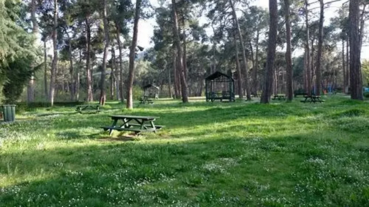 Bursa'da orman parkı 20 yıllığına kiraya veriliyor! İhale tarihi a&ccedil;ıklandı