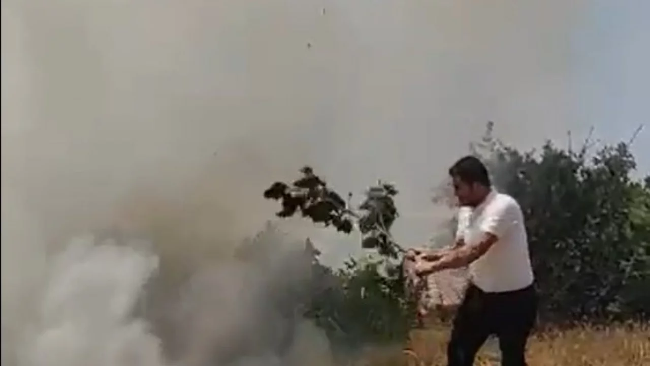 Mezrada &ccedil;ıkan yangın b&uuml;y&uuml;meden s&ouml;nd&uuml;r&uuml;ld&uuml;! Tarım arazileri son anda kurtarıldı