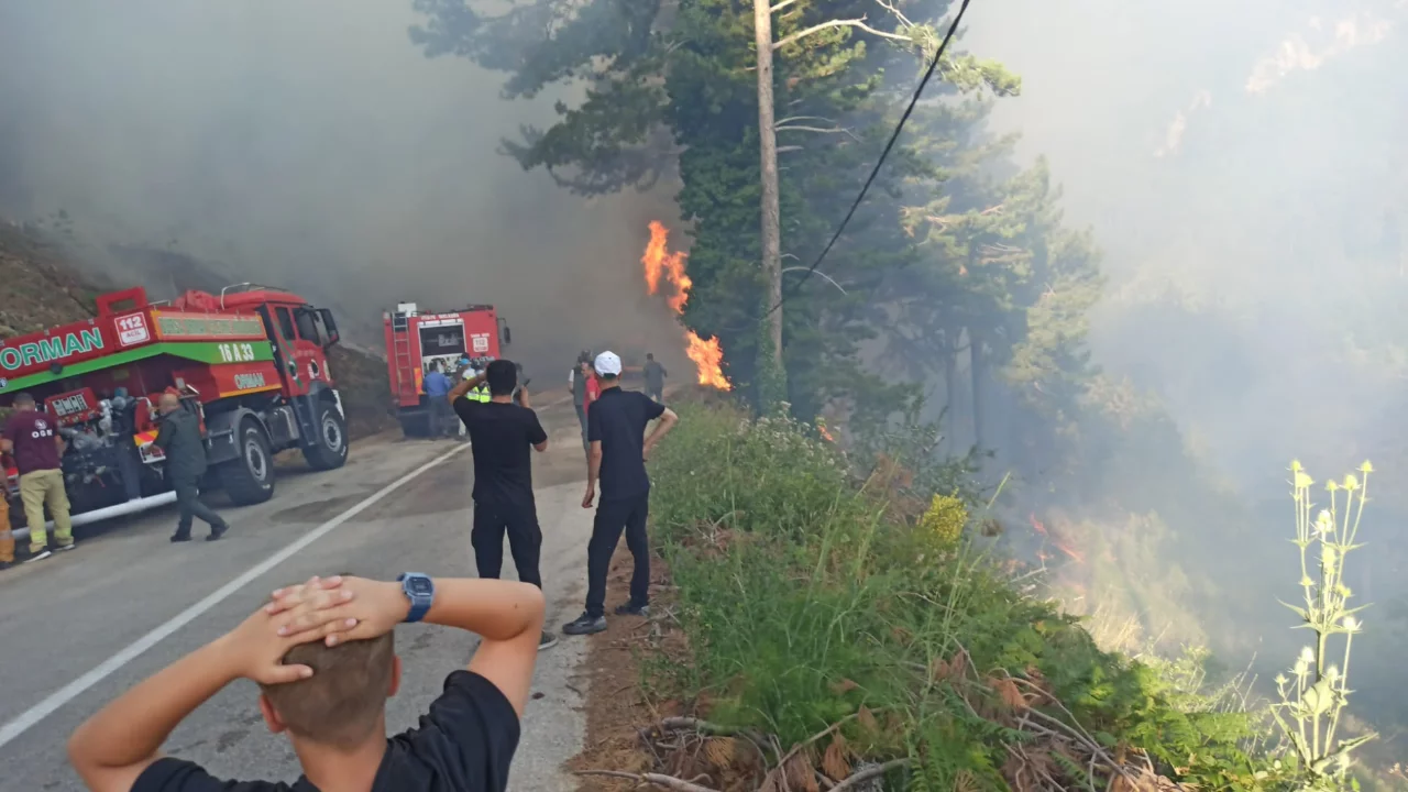 Bursa'da orman yangını başladı! Uludağ'da alevler b&uuml;y&uuml;yor...