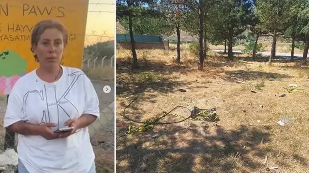 Ankara'da hayvan hakları derneği başkanı cinayetinde yeni gelişme: 5 kişi tutuklandı