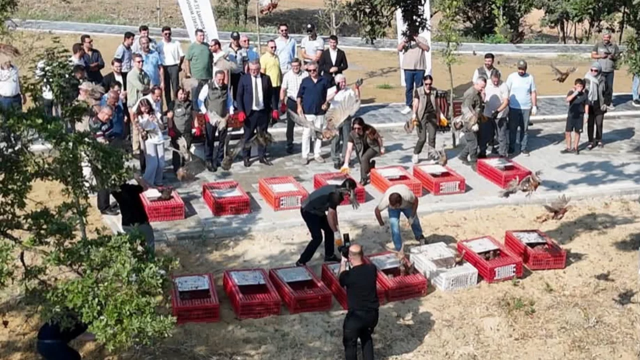 Kene ve kokarcaya karşı doğanın ordusu g&ouml;reve başladı: 200 s&uuml;l&uuml;n salındı!