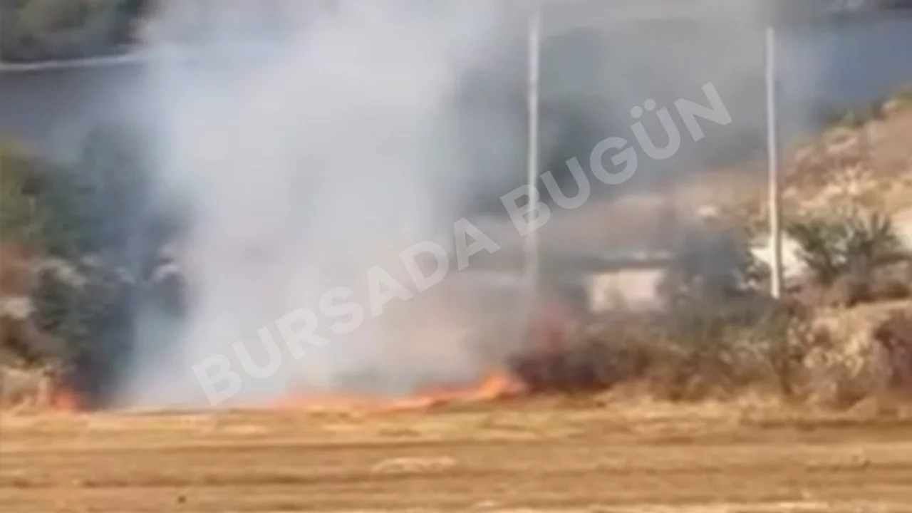 Bursa'da pes dedirten olay! Tarlayı yakıp koşarak kaçtı, o anlar kamerada...