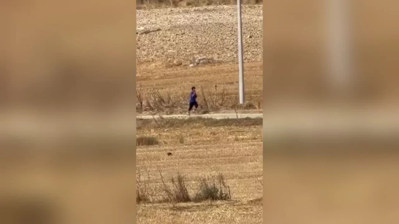 Bursa'da tarlayı ateşe verdiği iddia edilen kişi g&ouml;zaltına alındı!