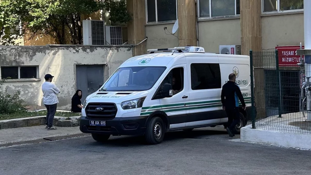 Bir can daha gitti! Kusma, halsizlik derken hayata veda etti...