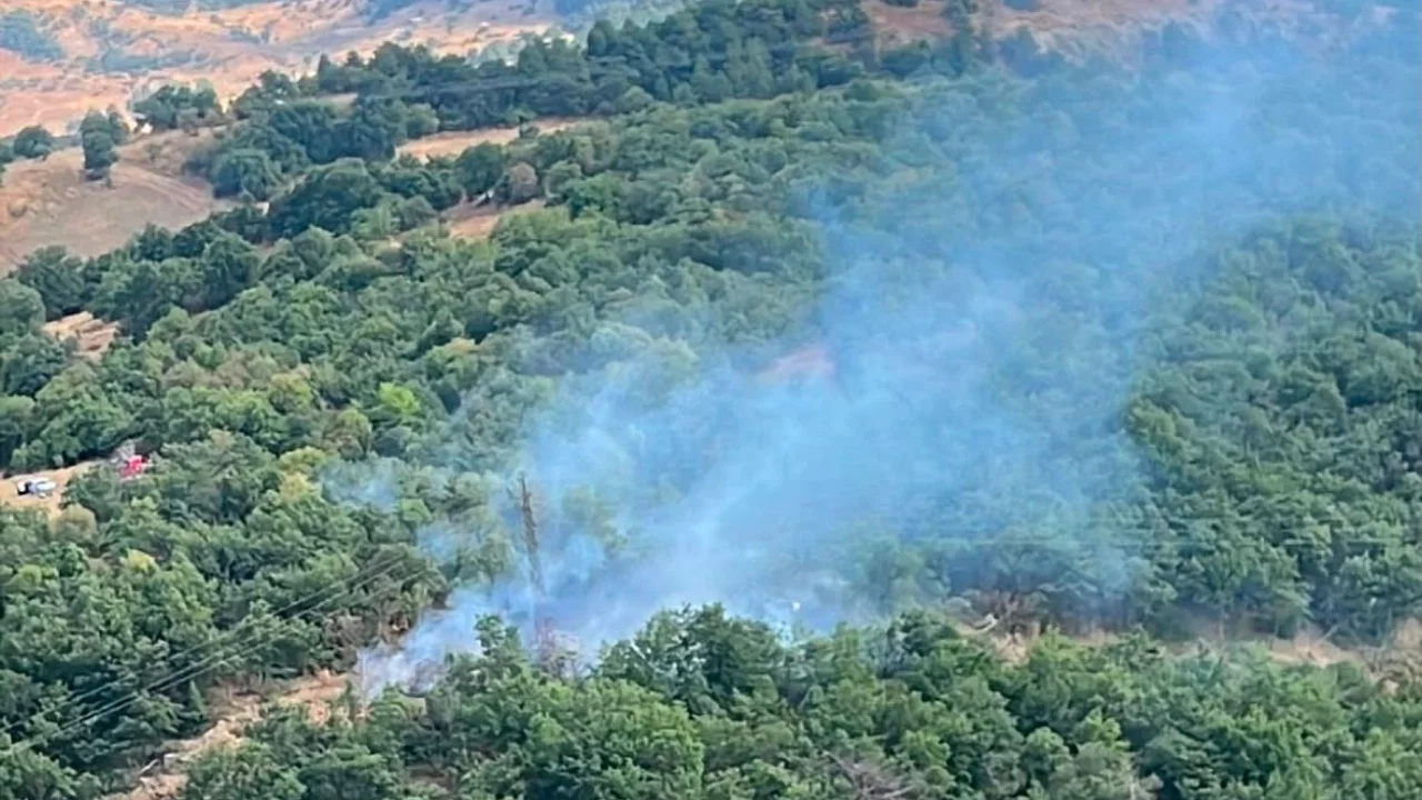 Kütahya'da orman yangını paniği