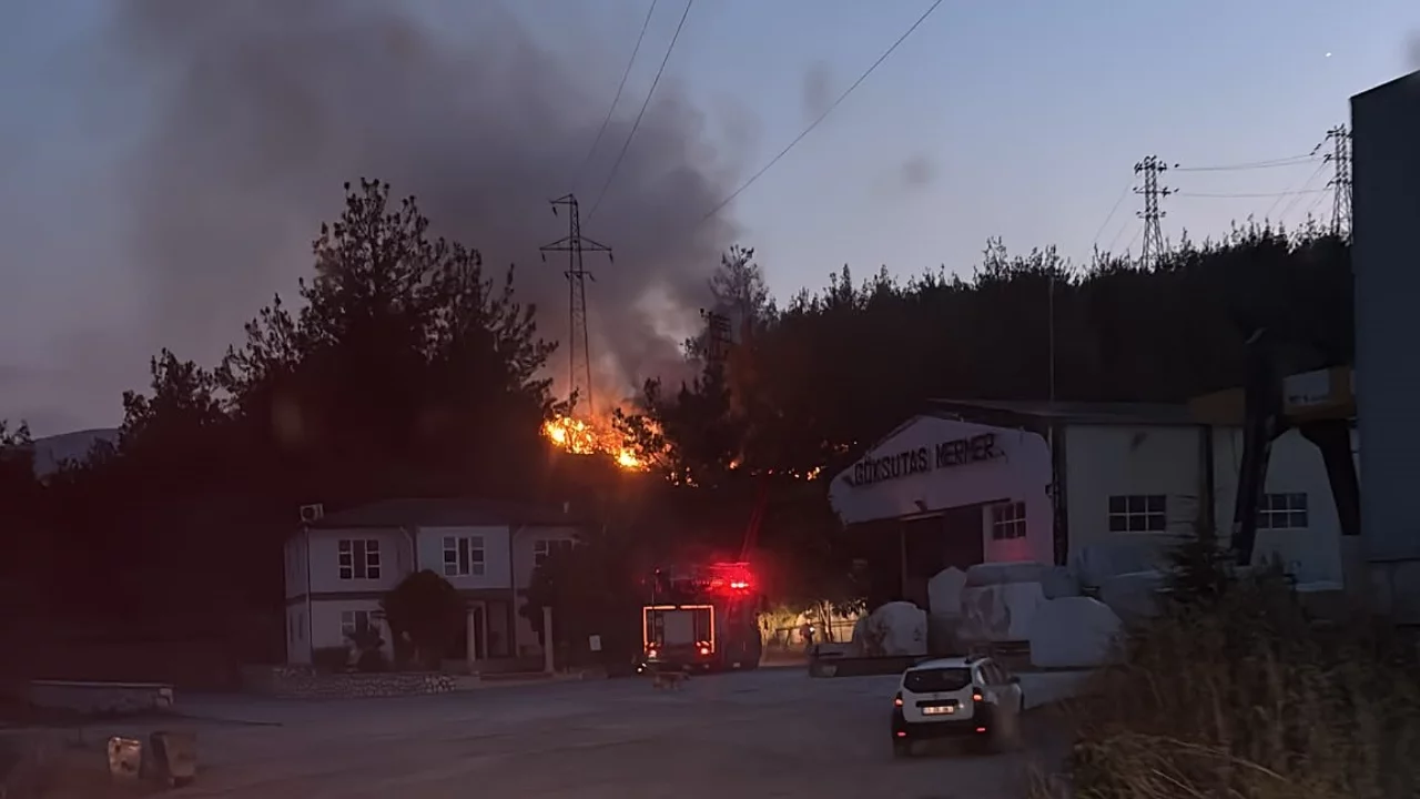 Kuşun çarptığı elektrik telleri yangın çıkardı