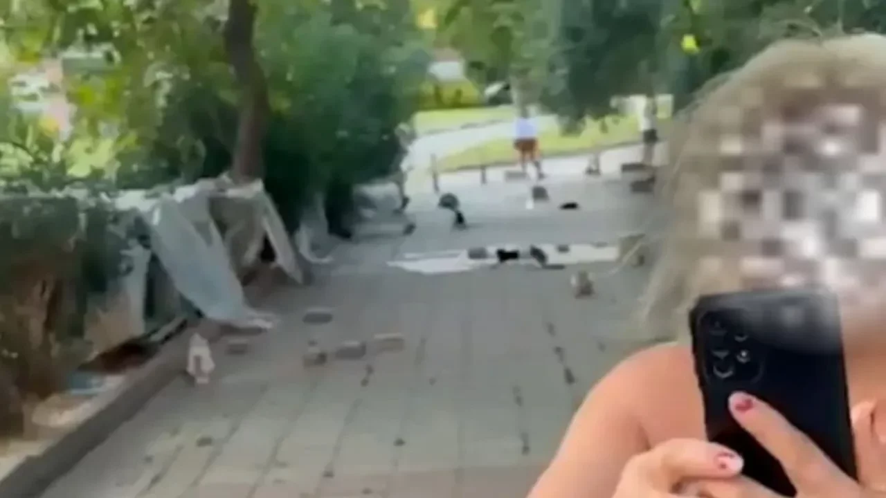 Kedi besleme tartışması kavgaya d&ouml;nd&uuml;! Yolu kapayan kadın psikiyatri kliniğine y&ouml;nlendirildi