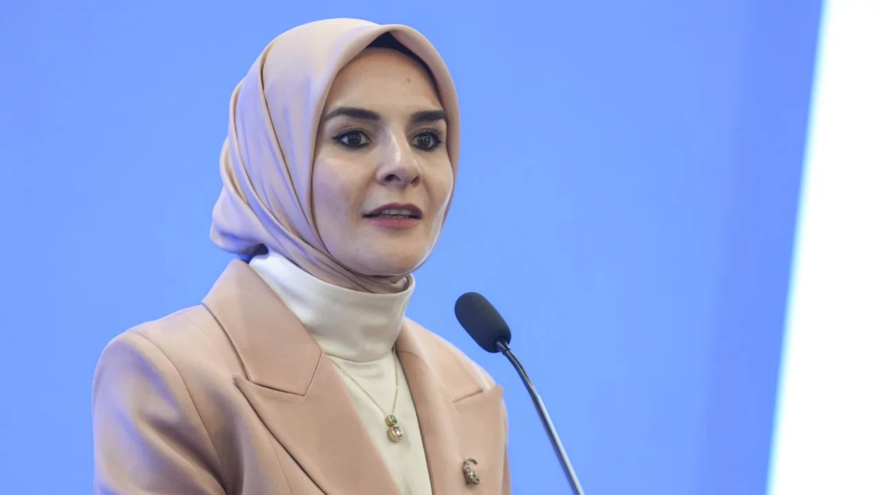 Şehit aileleri ve gazilere y&ouml;nelik yeni d&uuml;zenleme: Haklarda &ouml;nemli değişiklik