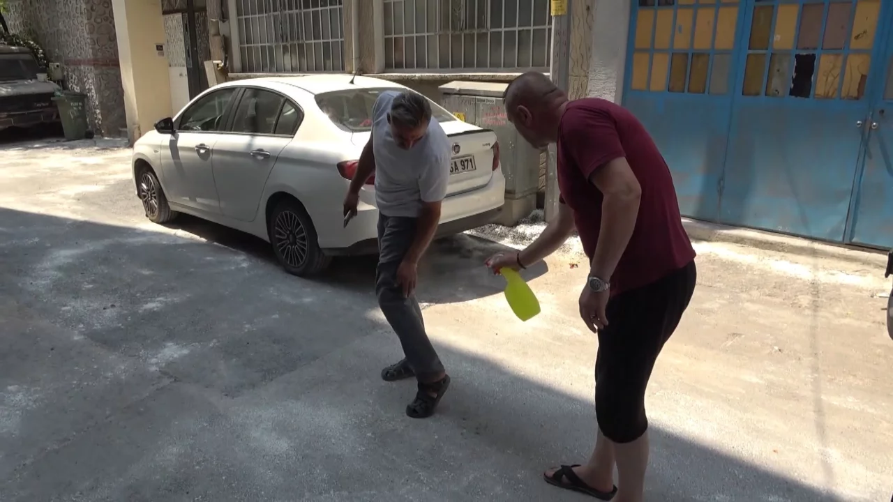 Pire istilası Bursa'yı sardı! Mahalleli ne yapacağını şaşırdı...