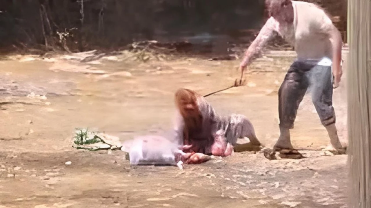 B&ouml;yle evlat olmaz olsun! Yaşlı annesine dehşeti yaşattı...