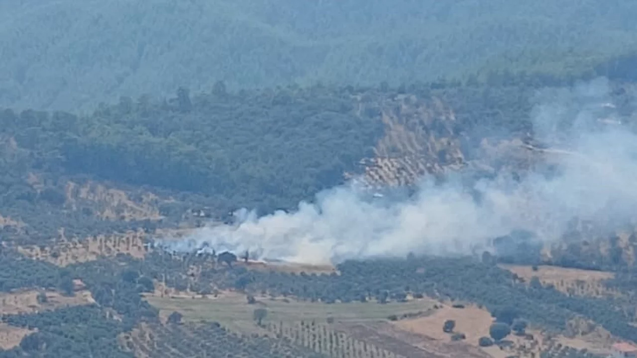 Orman yangını ekiplerin hızlı müdahalesi ile kontrol altına alındı