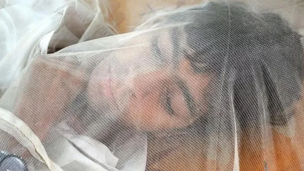Dünyayı tedirgin eden virüs sınır komşumuzda patlak verdi!