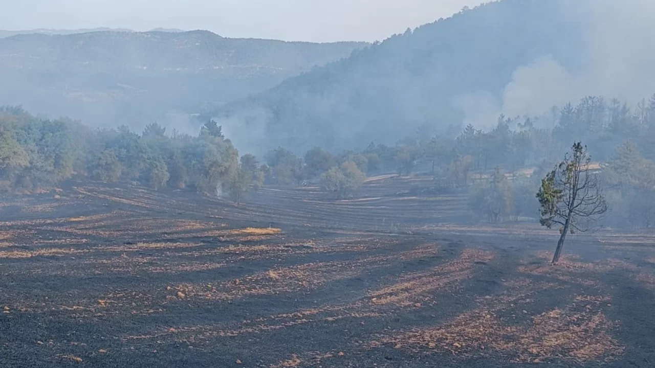 Bolu'daki orman yangını kontrol altına alındı
