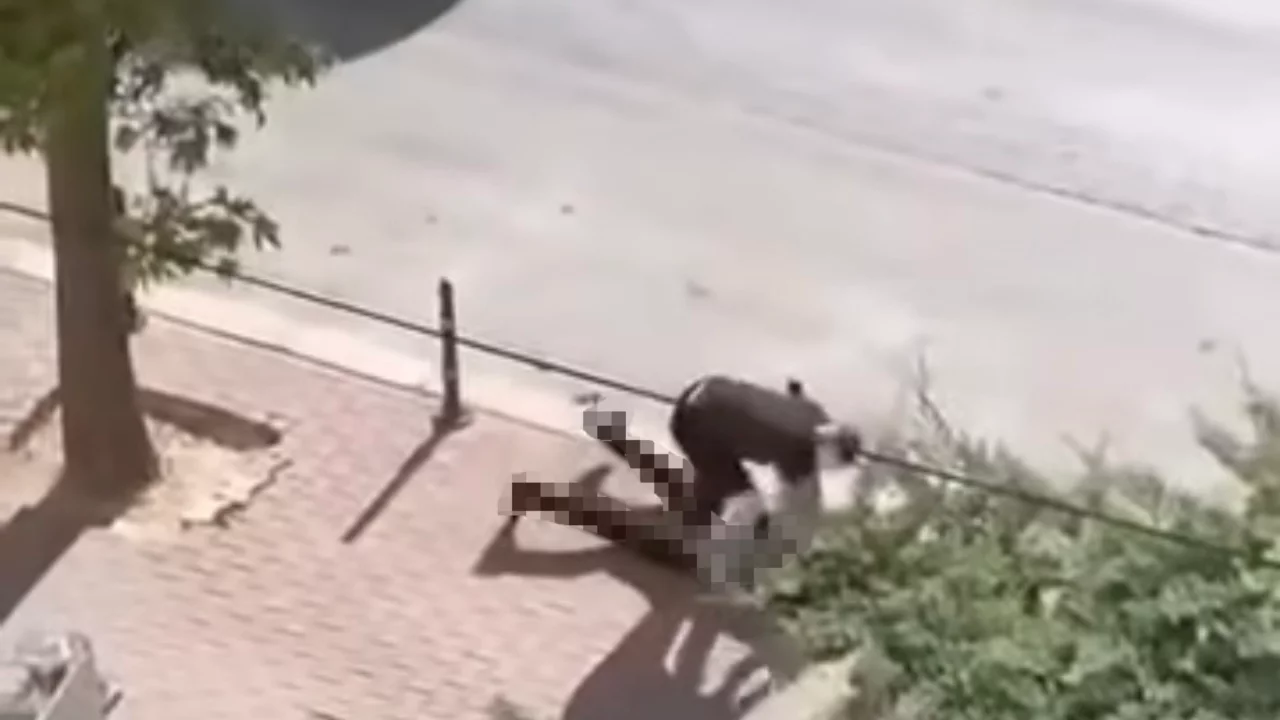 Husumetlisini sokak ortasında katletti! Cinayet anı kamerada...