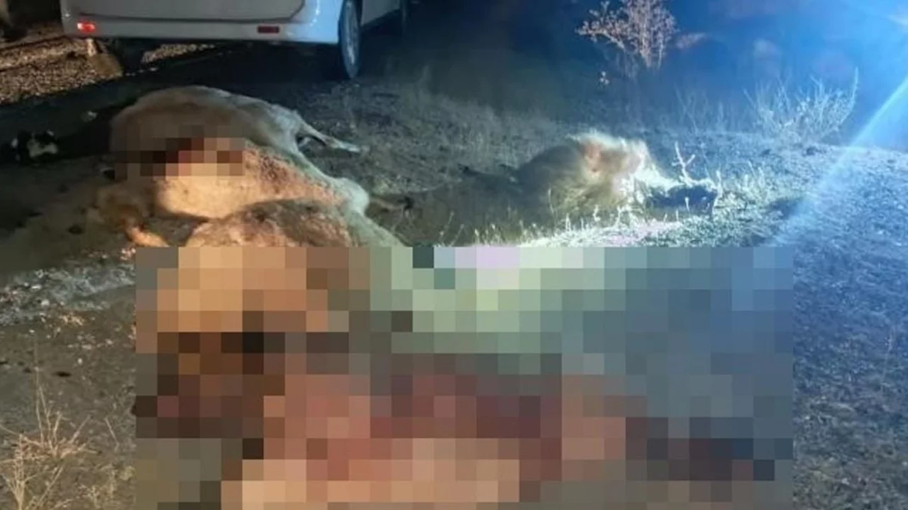 Gece yarısı facia! Tüm birikimi gitti
