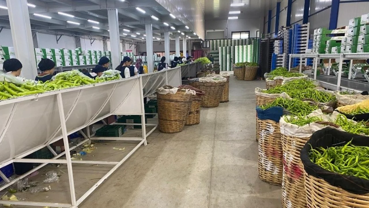 Bursa'nın tarım &uuml;r&uuml;nleri Avrupa sofralarında
