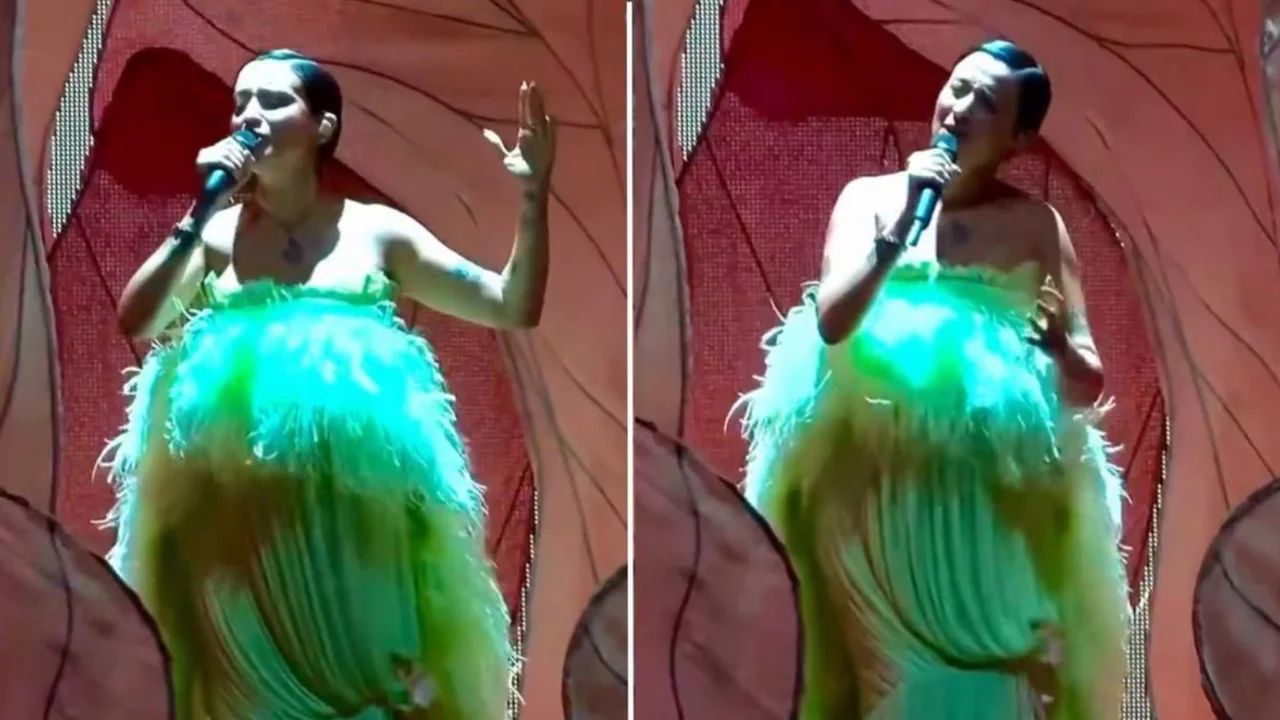 Melike Şahin'den Harbiye'de duygusal veda: "Oğlum karnımda son konserim"