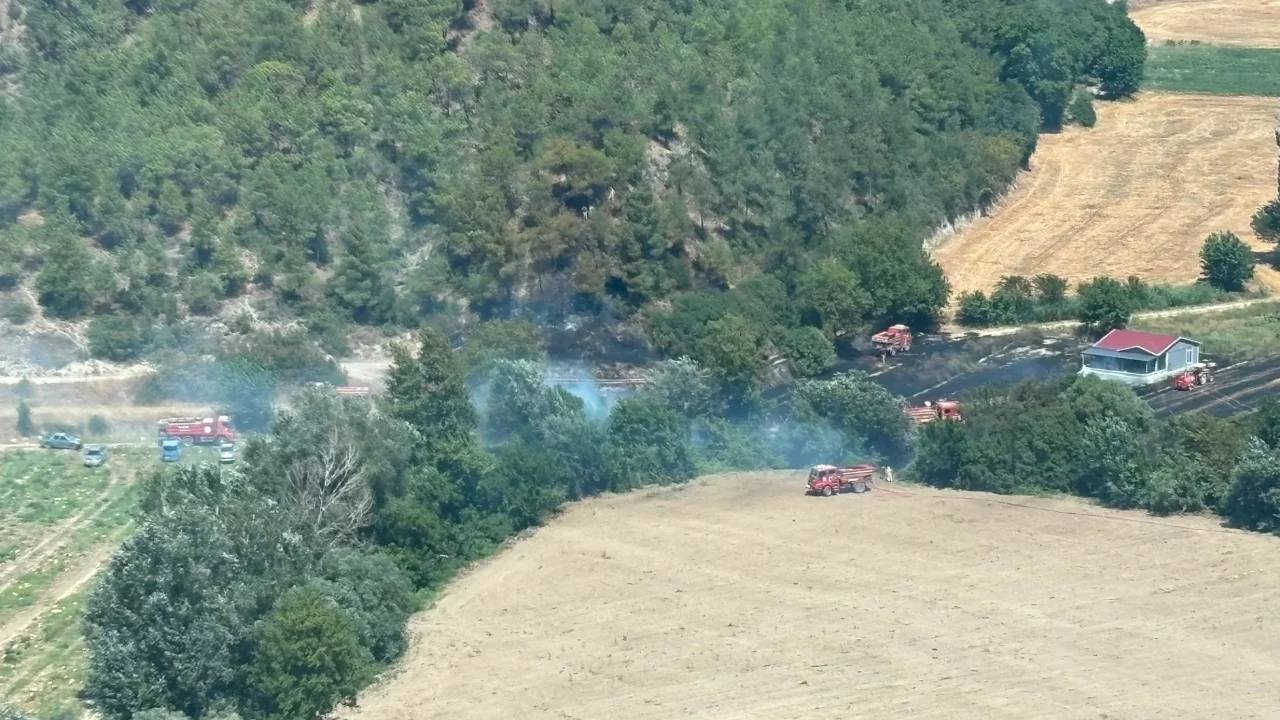 Bilecik'te ormanlık alanda yangın çıktı