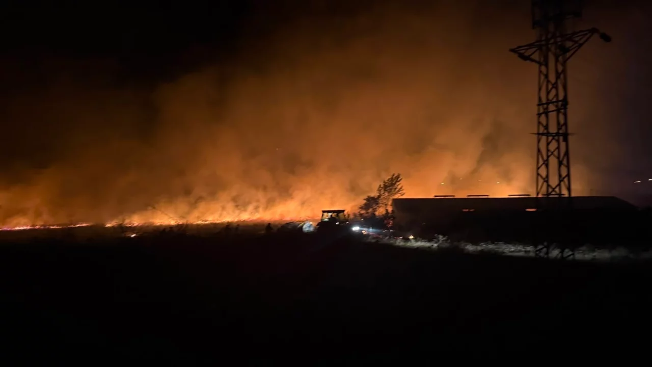 &Ccedil;anakkale'de gece &ccedil;ıkan yangın tarım arazilerine sı&ccedil;radı