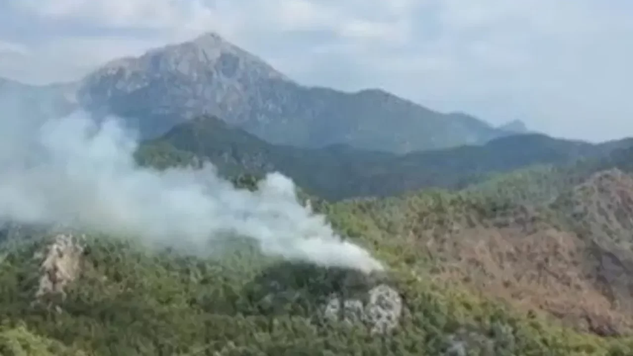 Antalya ve Balıkesir'de orman yangını