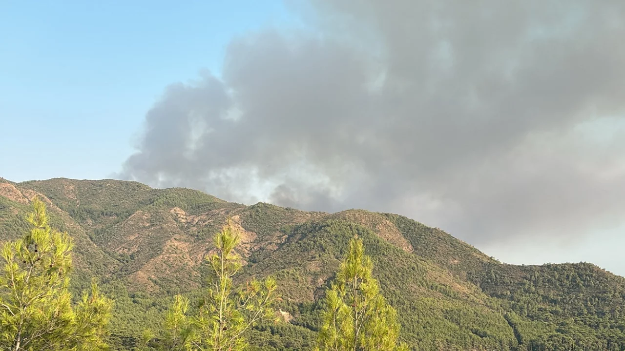 Marmaris'teki orman yangını ikinci g&uuml;n&uuml;nde
