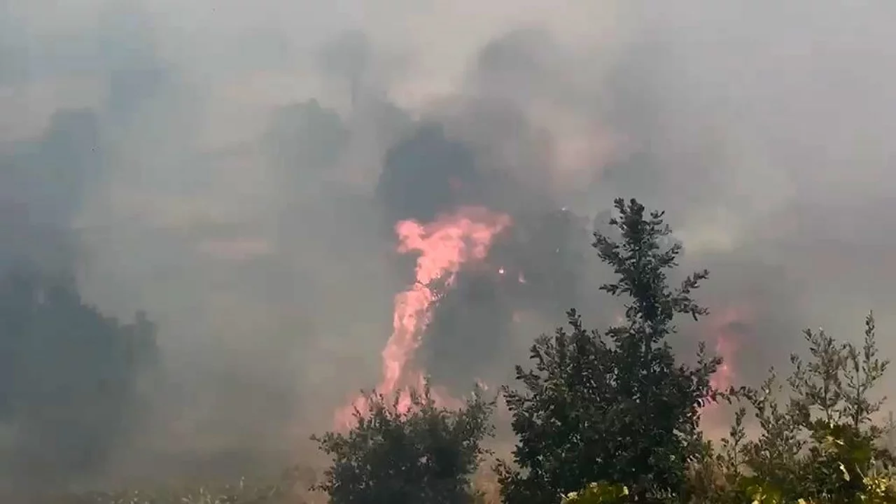 &Ouml;rt&uuml; ve orman yangınında geniş alan zarar g&ouml;rd&uuml;