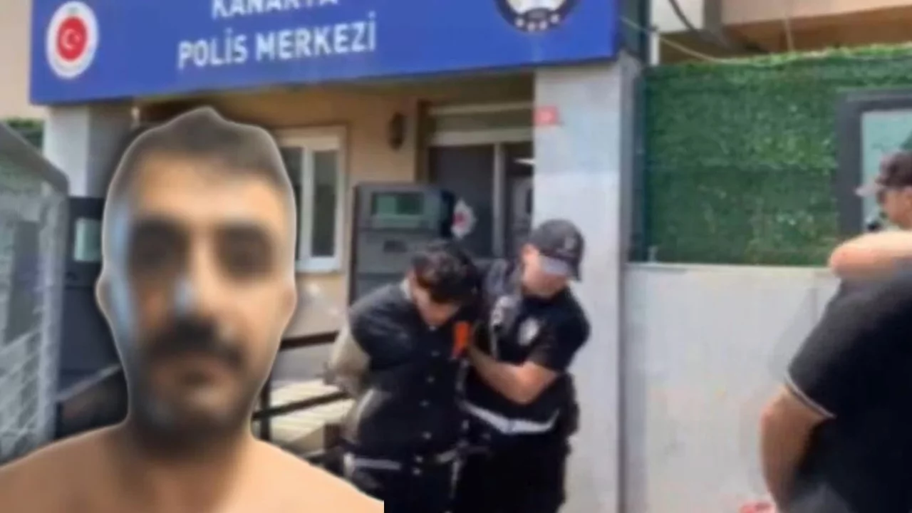 Suç örgütüne büyük operasyon