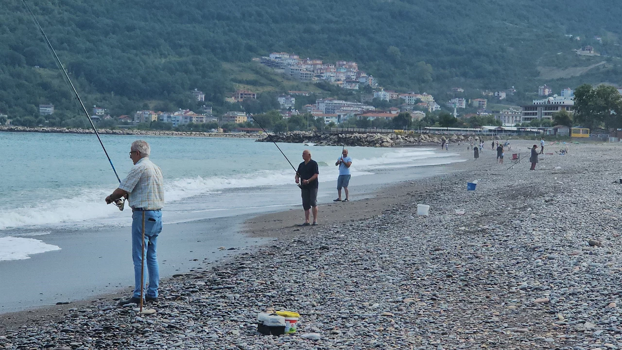 Karadeniz'de balık bolluğu yaşanıyor: Oltasını kapan deniz kenarına koştu