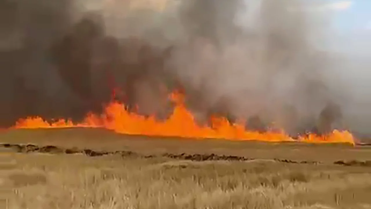 5 bin dönüm ekili buğday tarlası alevlere teslim oldu