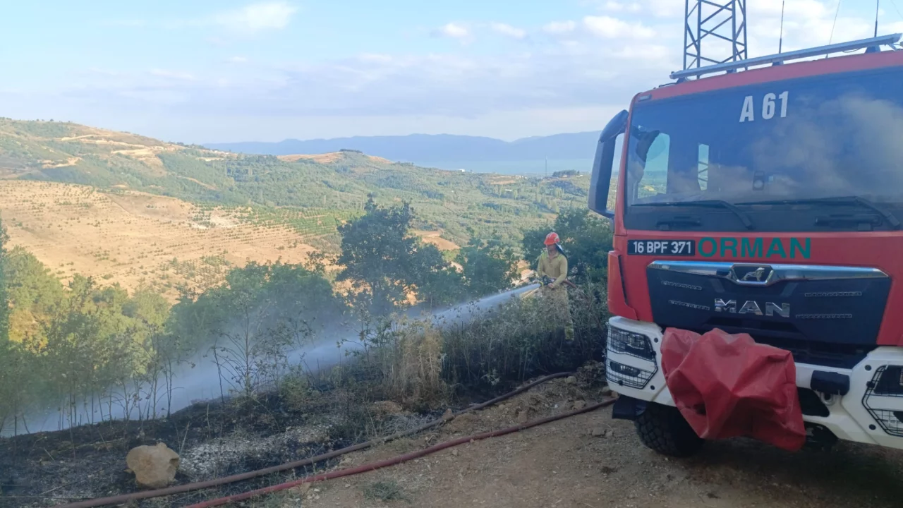 Bursa'da alevler ormana dayandı! Yangın son anda önlendi