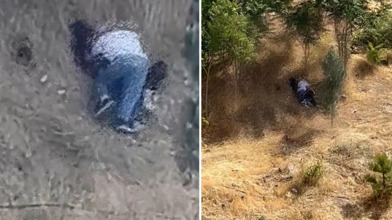 Aileler ve çocuklar oradaydı! Parkta uygunsuz şekilde görüntülendiler