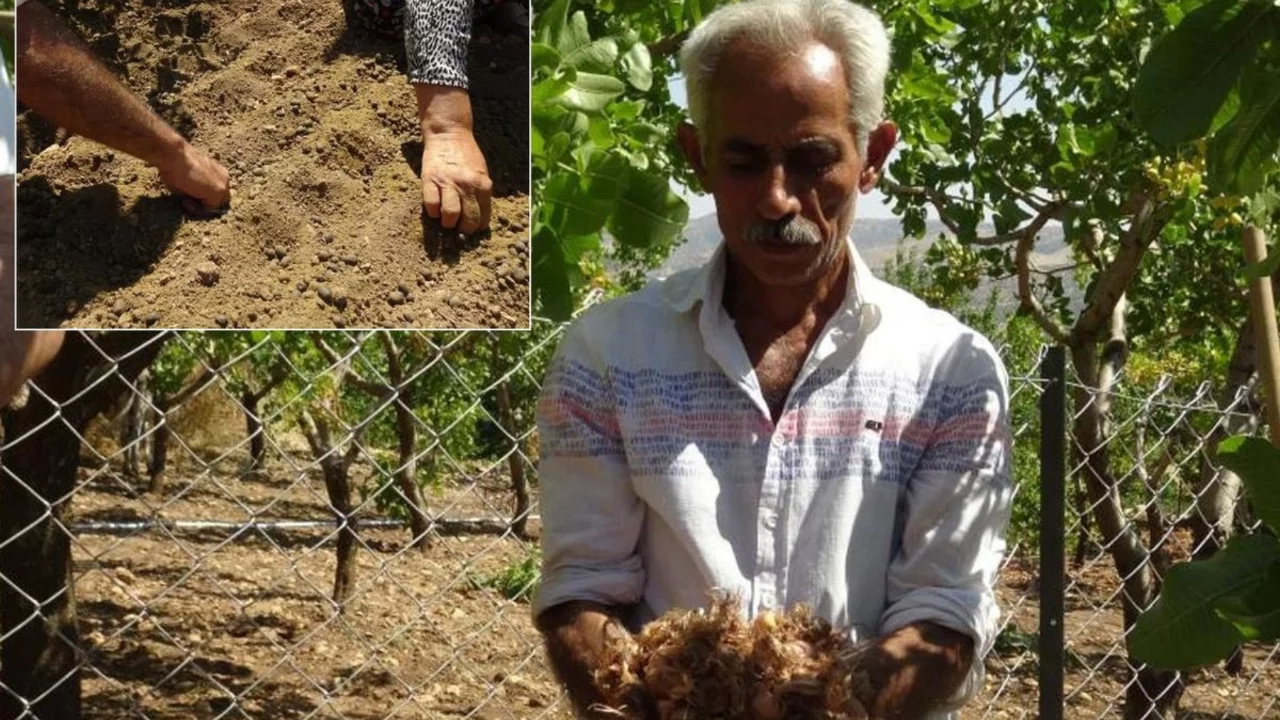 İl&ccedil;ede bir ilki ger&ccedil;ekleştirdi, geliri 10 kat arttı! Paraya para demiyor