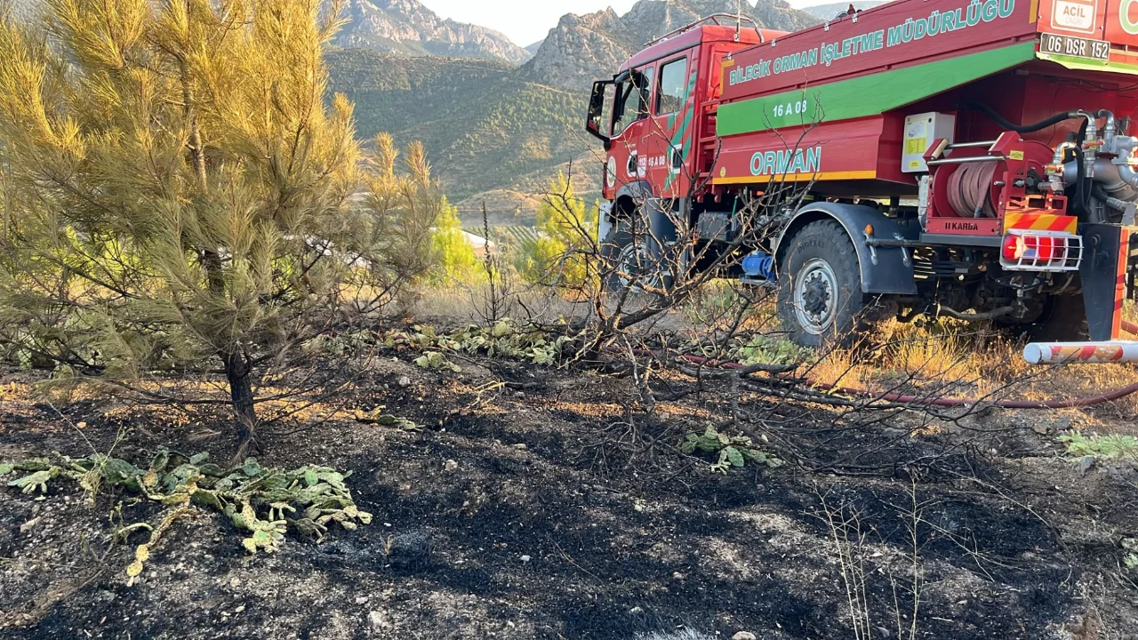 Bilecik'te ağa&ccedil;landırma sahasında yangın! Havadan ve karadan m&uuml;dahale