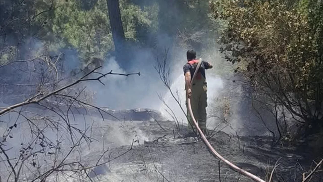 Samandağ'daki orman yangını s&ouml;nd&uuml;r&uuml;ld&uuml;